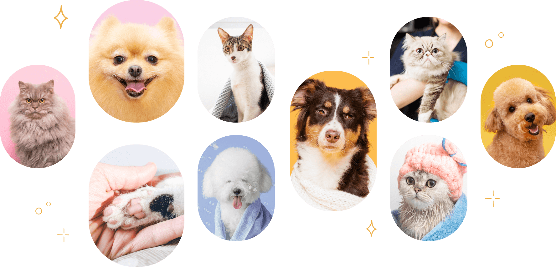 image pane